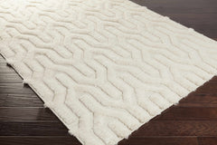 Ransom Area Rug - Clearance - Ornate Home