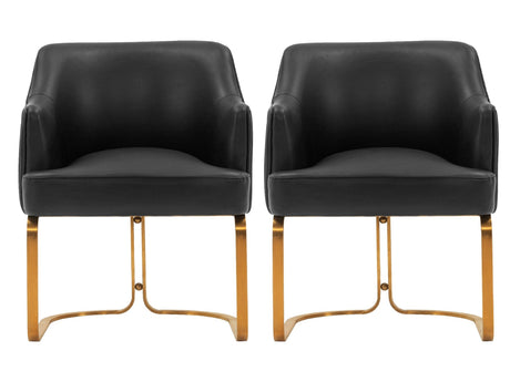 Raya Dining Armchair in Black (set of 2) - Ornate Home