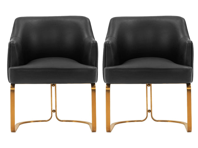 Raya Dining Armchair in Black (set of 2) - Ornate Home