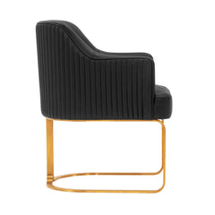 Raya Dining Armchair in Black (set of 2) - Ornate Home