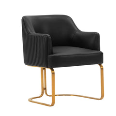 Raya Dining Armchair in Black (set of 2) - Ornate Home