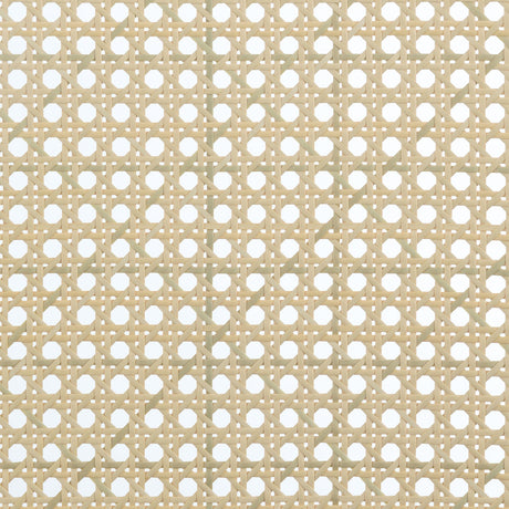 Rayo Camel Rattan Cane Back Accent Chair with Padded Seat - Ornate Home