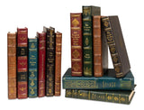 Rebound Brown Leather Books Assorted (Set of 12) - Ornate Home