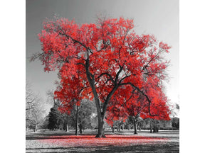 Red Tree Tempered Glass w / Foil Wall Art - Ornate Home