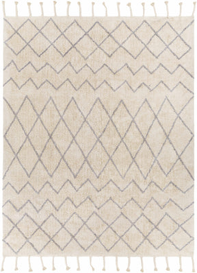 Redlands Area Rug - Clearance - Ornate Home