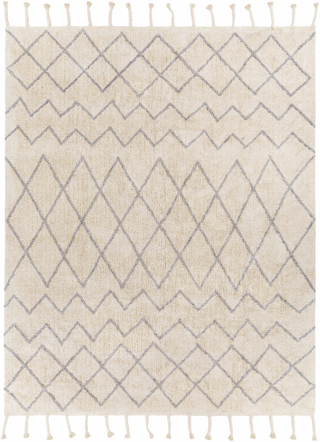 Redlands Area Rug - Clearance - Ornate Home