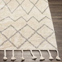 Redlands Area Rug - Clearance - Ornate Home