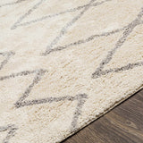 Redlands Area Rug - Clearance - Ornate Home