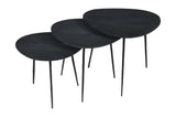 Reeves Black Nesting Table (Set of 3) - Ornate Home