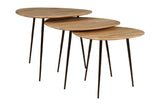 Reeves Natural Nesting Table (Set of 3) - Ornate Home