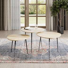 Reeves Natural Nesting Table (Set of 3) - Ornate Home