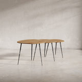 Reeves Natural Nesting Table (Set of 3) - Ornate Home