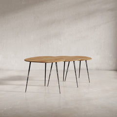 Reeves Natural Nesting Table (Set of 3) - Ornate Home