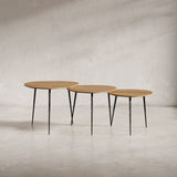 Reeves Natural Nesting Table (Set of 3) - Ornate Home