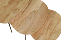 Reeves Natural Nesting Table (Set of 3) - Ornate Home