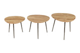 Reeves Natural Nesting Table (Set of 3) - Ornate Home