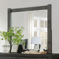 Regensburg Dark Gray Mirror - Ornate Home