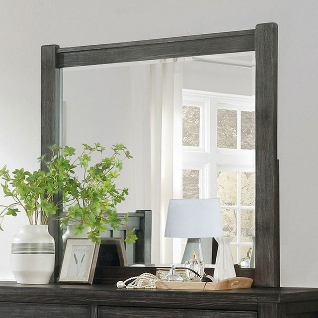 Regensburg Dark Gray Mirror - Ornate Home