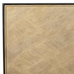Reina Woodtone Modern 2 Door Cabinet - Ornate Home