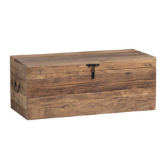 Remington Brown Trunk - Ornate Home
