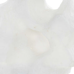 Remnant White Sculptures (Set of 2) - Ornate Home