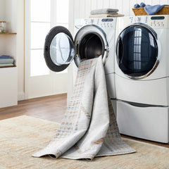 Remy Washable Area Rug - Clearance - Ornate Home