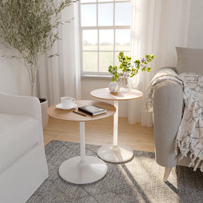 Remy White/Brown Nesting Table (Set of 2) - Ornate Home