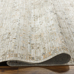 Ren Outdoor Machine Woven Becki Owens x LIVABLISS BOMG-2303 Washable Area Rug - Ornate Home