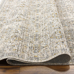 Ren Outdoor Machine Woven Becki Owens x LIVABLISS BOMG-2306 Washable Area Rug - Ornate Home