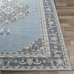 Renfrewshire Clearance Rug - Clearance - Ornate Home