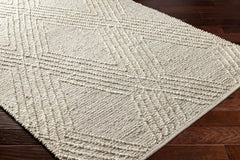 Renz Area Rug - Clearance - Ornate Home