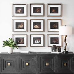 Resting Bunny Multicolor Framed Prints (Set of 9) - Ornate Home