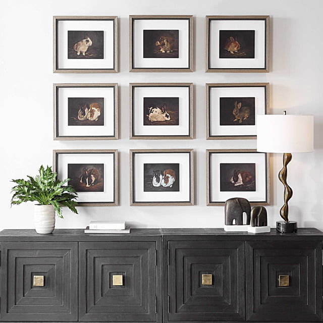 Resting Bunny Multicolor Framed Prints (Set of 9) - Ornate Home