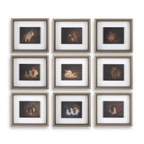 Resting Bunny Multicolor Framed Prints (Set of 9) - Ornate Home