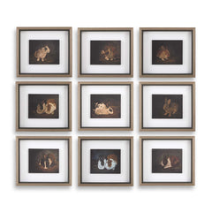 Resting Bunny Multicolor Framed Prints (Set of 9) - Ornate Home
