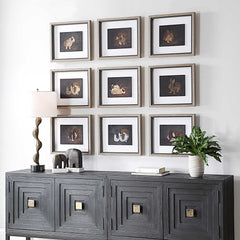 Resting Bunny Multicolor Framed Prints (Set of 9) - Ornate Home