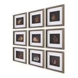 Resting Bunny Multicolor Framed Prints (Set of 9) - Ornate Home