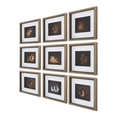 Resting Bunny Multicolor Framed Prints (Set of 9) - Ornate Home