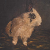 Resting Bunny Multicolor Framed Prints (Set of 9) - Ornate Home