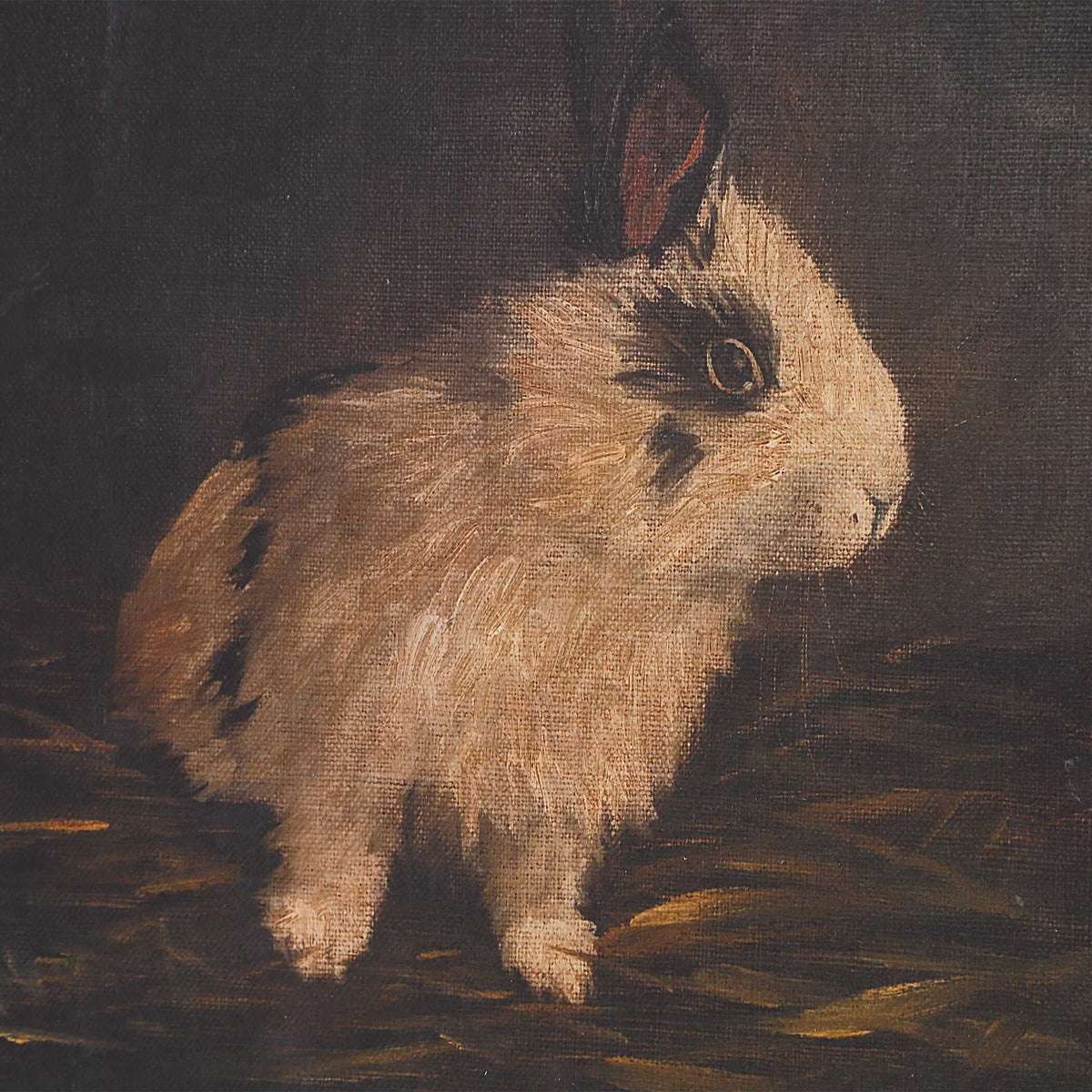 Resting Bunny Multicolor Framed Prints (Set of 9) - Ornate Home