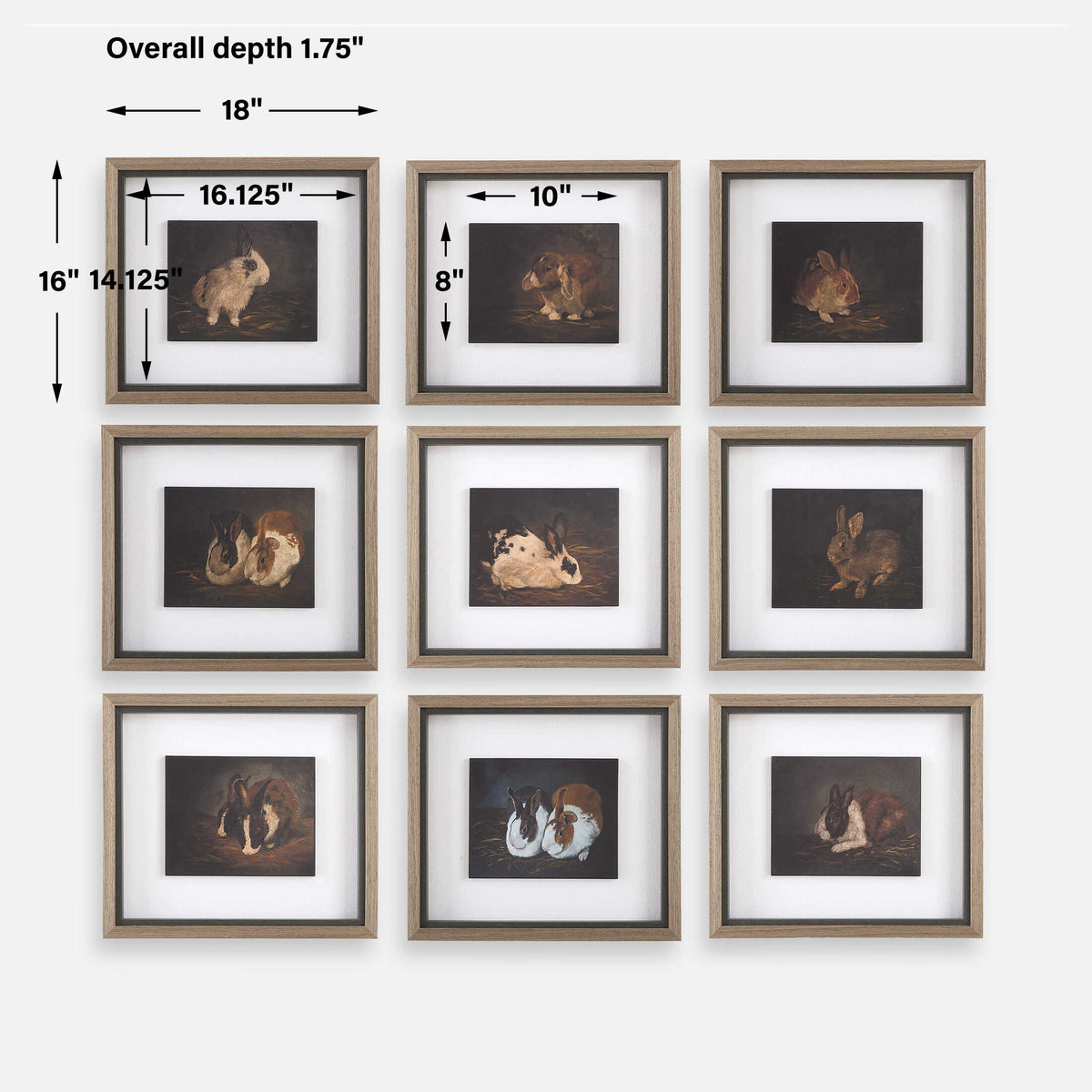 Resting Bunny Multicolor Framed Prints (Set of 9) - Ornate Home