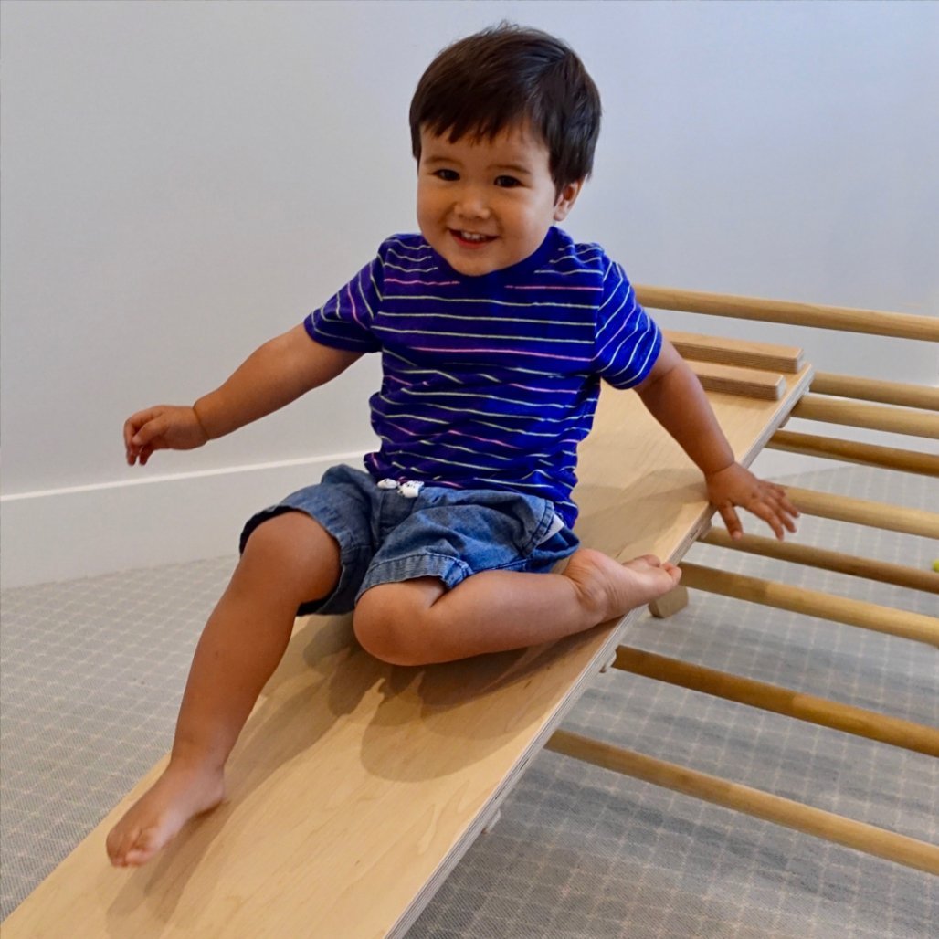 Reversible Climbing Ramp - Ornate Home