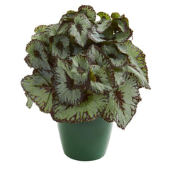 Rex Begonia Artificial Plant in Green Planter (Set of 2) - Ornate Home