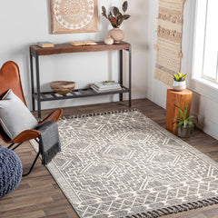Reyn Area Rug - Clearance - Ornate Home