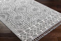 Reyn Area Rug - Clearance - Ornate Home