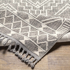 Reyn Area Rug - Clearance - Ornate Home