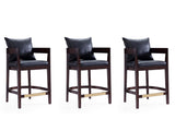 Ritz Counter Stool in Black and Dark Walnut (set of 3) - Ornate Home