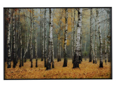 Rivers Yellow/Brown Wall Art - Ornate Home