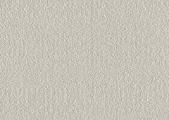 Rochelle Beige Side Chair (Set of 2) - Ornate Home