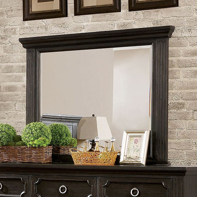 Roisin Wire-Brushed Black Mirror - Ornate Home